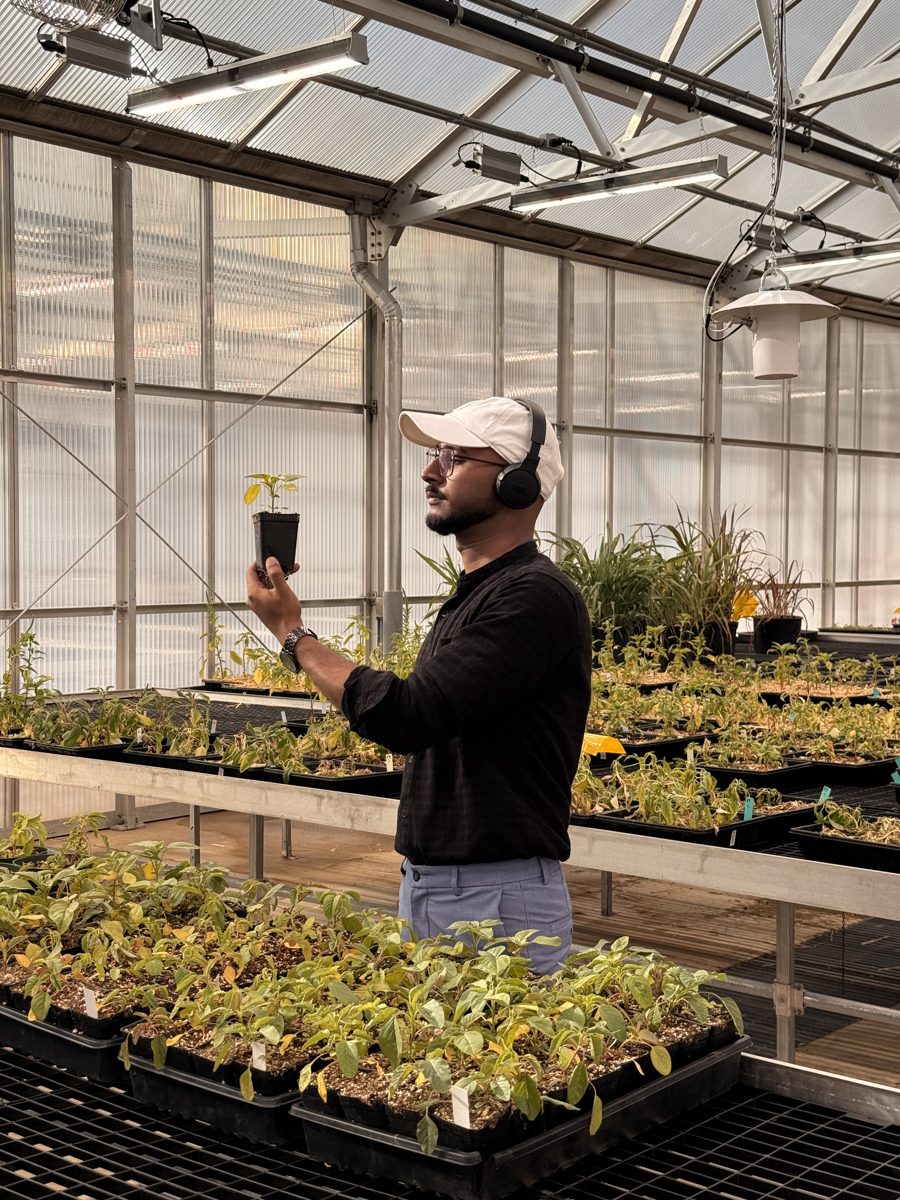 Sougata Roy holding a potted weed seedling in a greenhouse